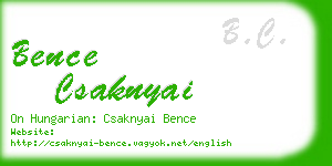 bence csaknyai business card